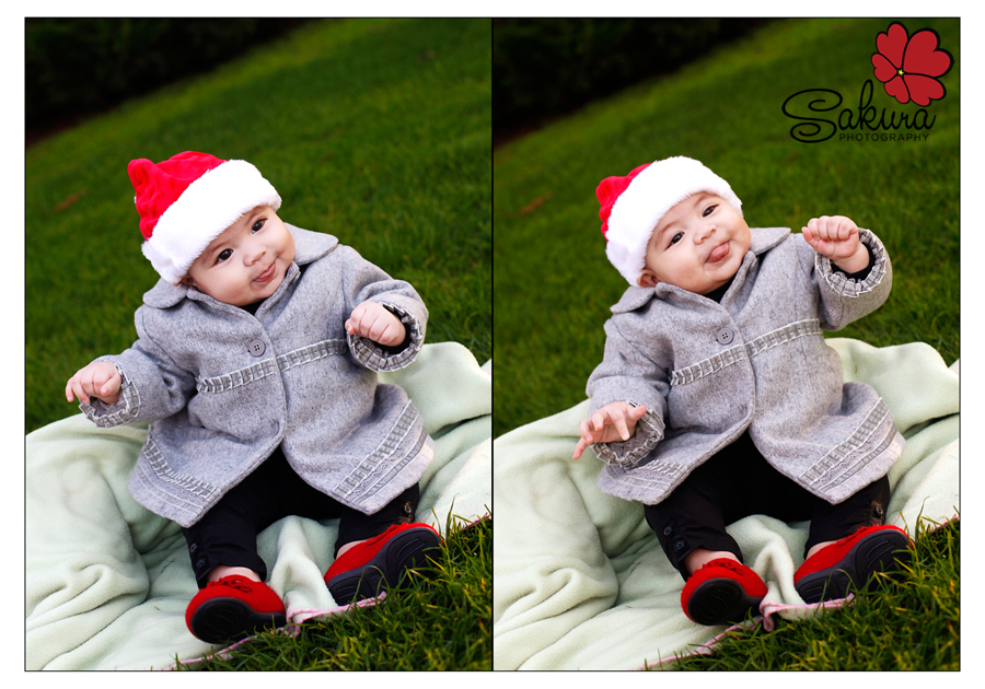 Untitled-256 Untitled-256